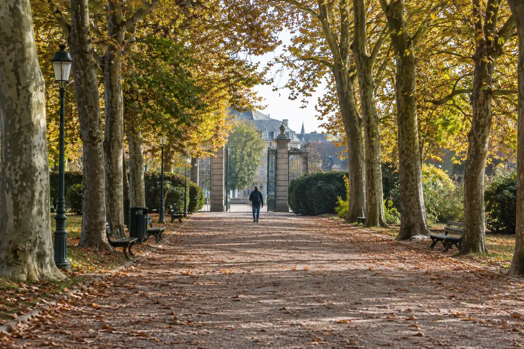 Un marcheur suit une longue allée arborée qui mène vers un portail ouvert.
